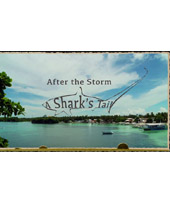 After The Storm – A Shark’s Tail